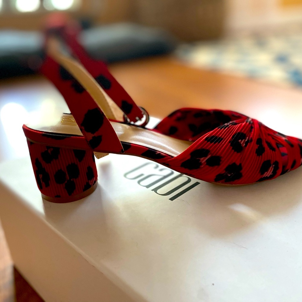 Gorgeous brand new in the box Cabi shoes.